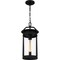 Quoizel Clifton Outdoor Hanging 1 Light Earth Black CLI1909EK - alternate 3